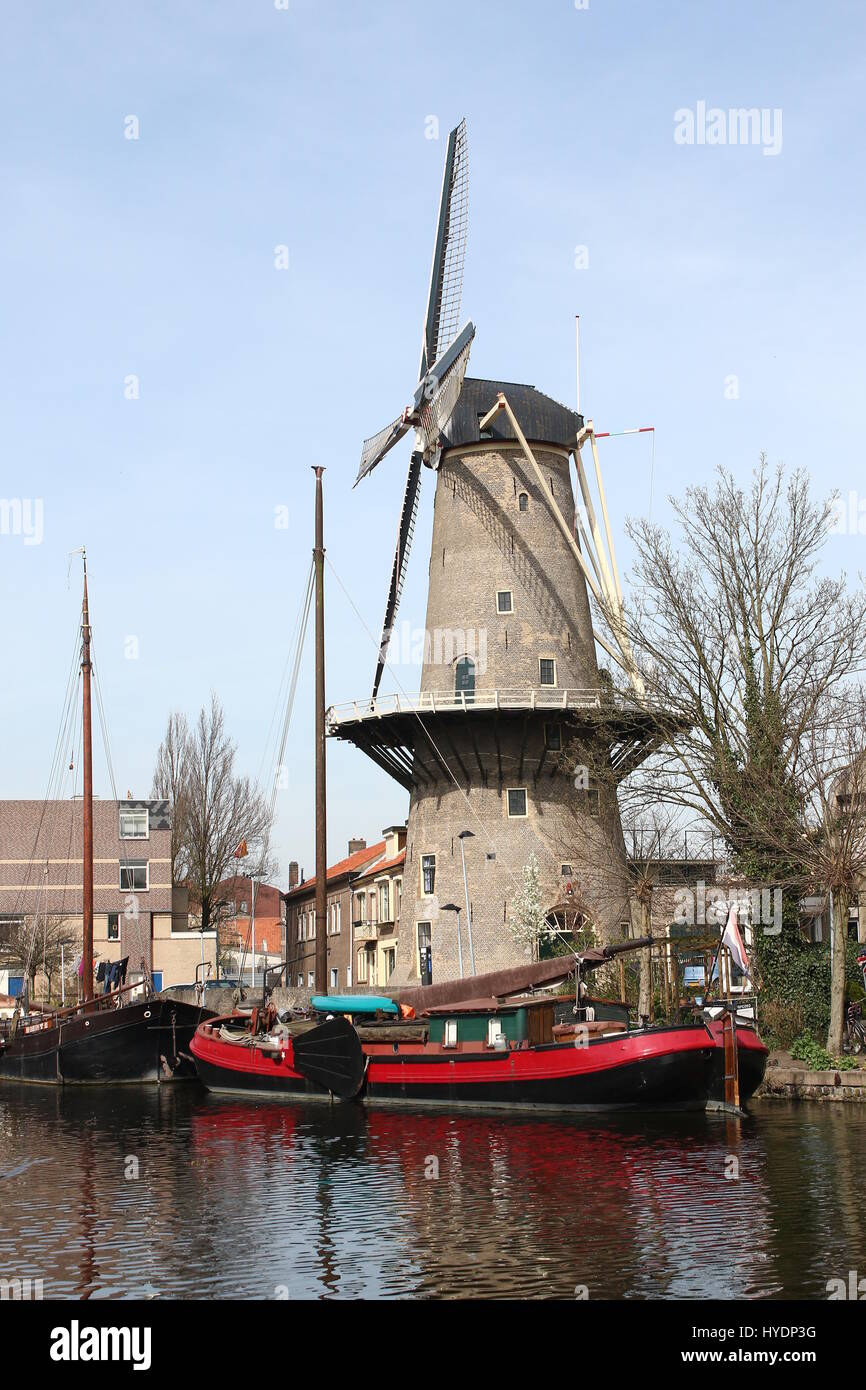 18. Jahrhundert Grist Mill De Roode Leeuw (The Red Lion), Stadtzentrum von Gouda, Niederlande Stockfoto