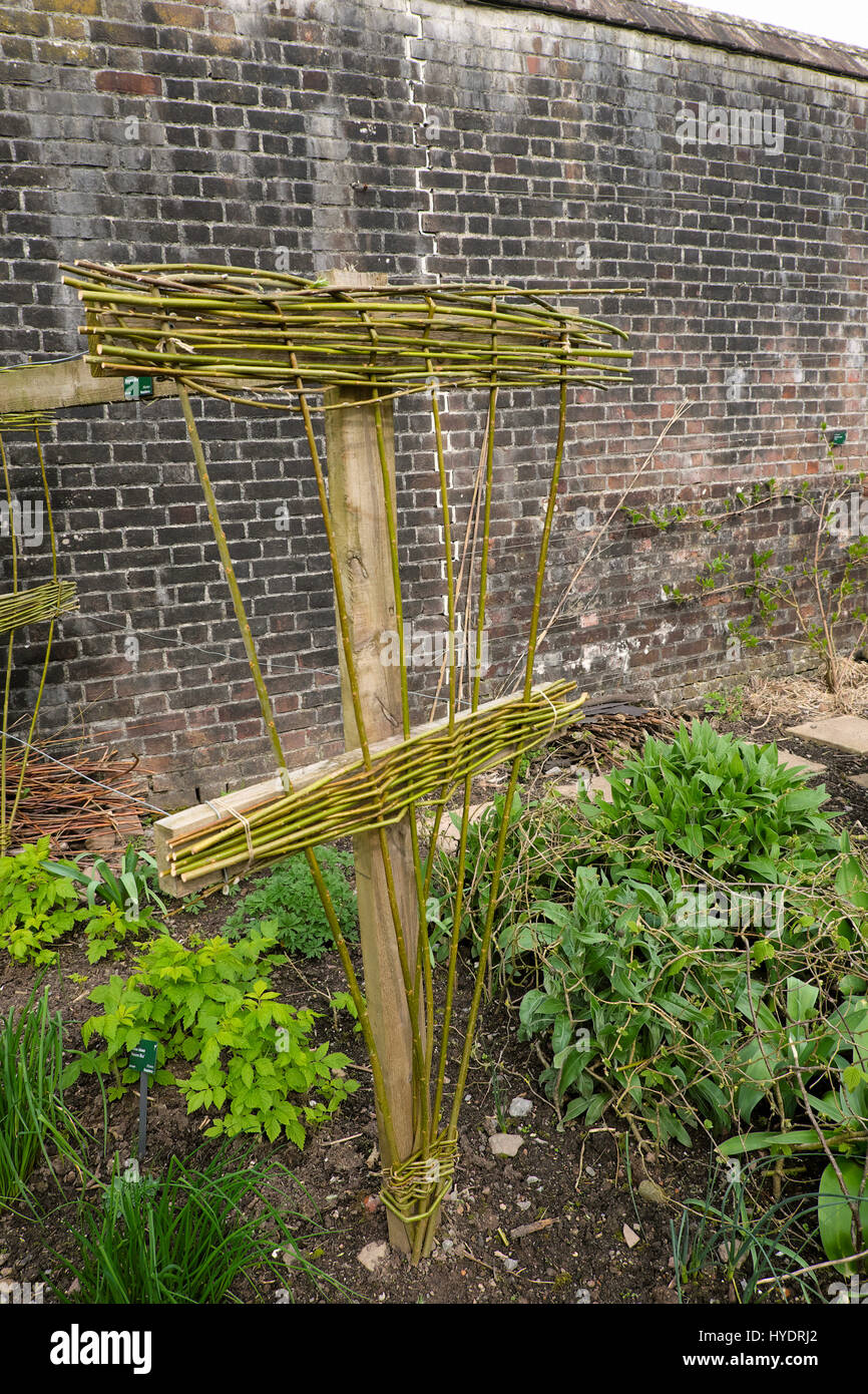 Dreieckig geformten Weide Stick & Holzkonstruktion Frame support bei der National Botanic Garden of Wales Carmarthen UK KATHY DEWITT Stockfoto