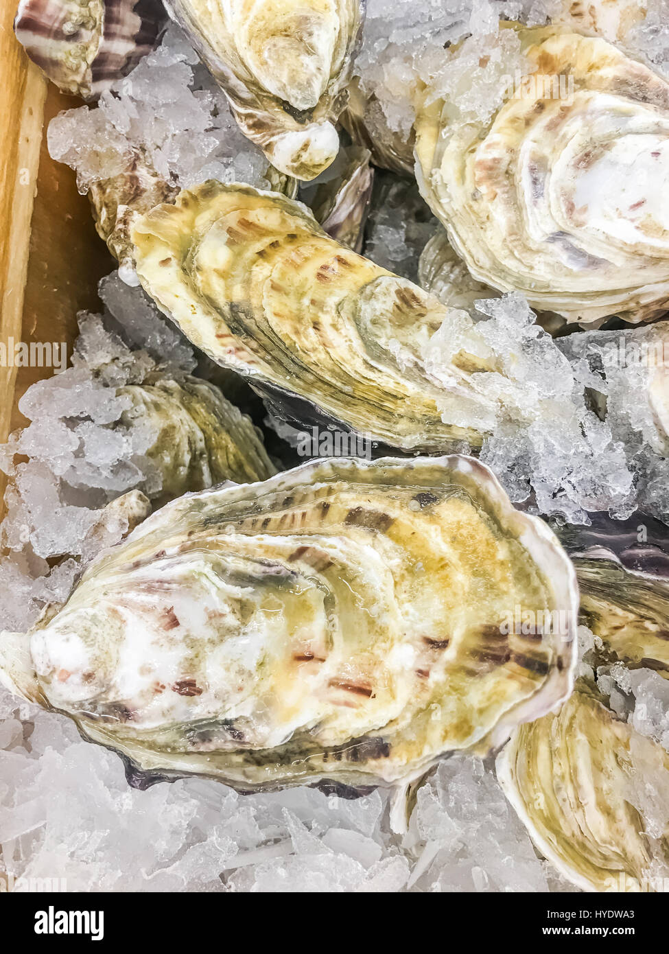 Fine De Claire frisch im Eis auf Markt zu verkaufen. Stockfoto