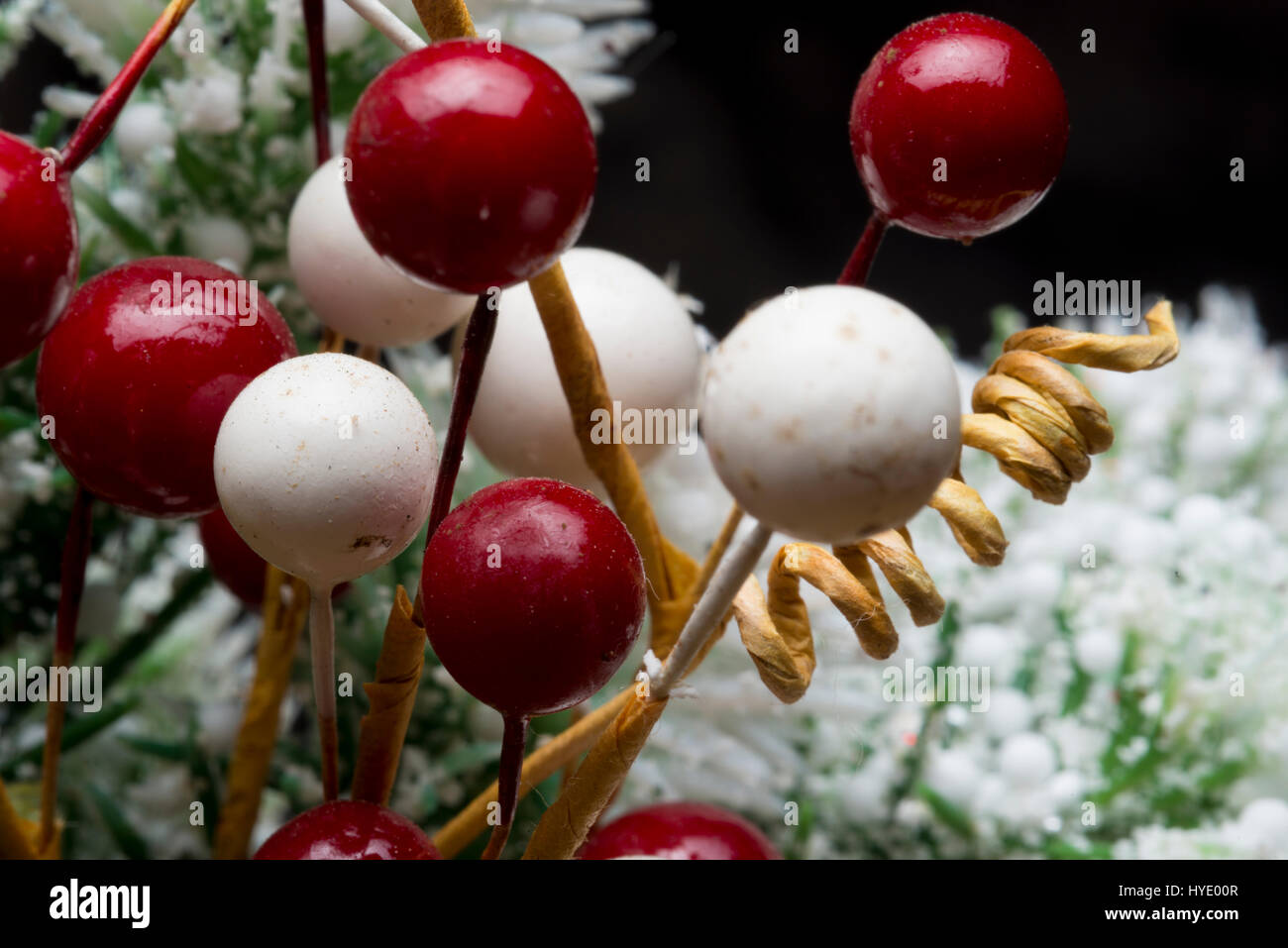 dekorative floral Tipps Winterschnee Stockfoto