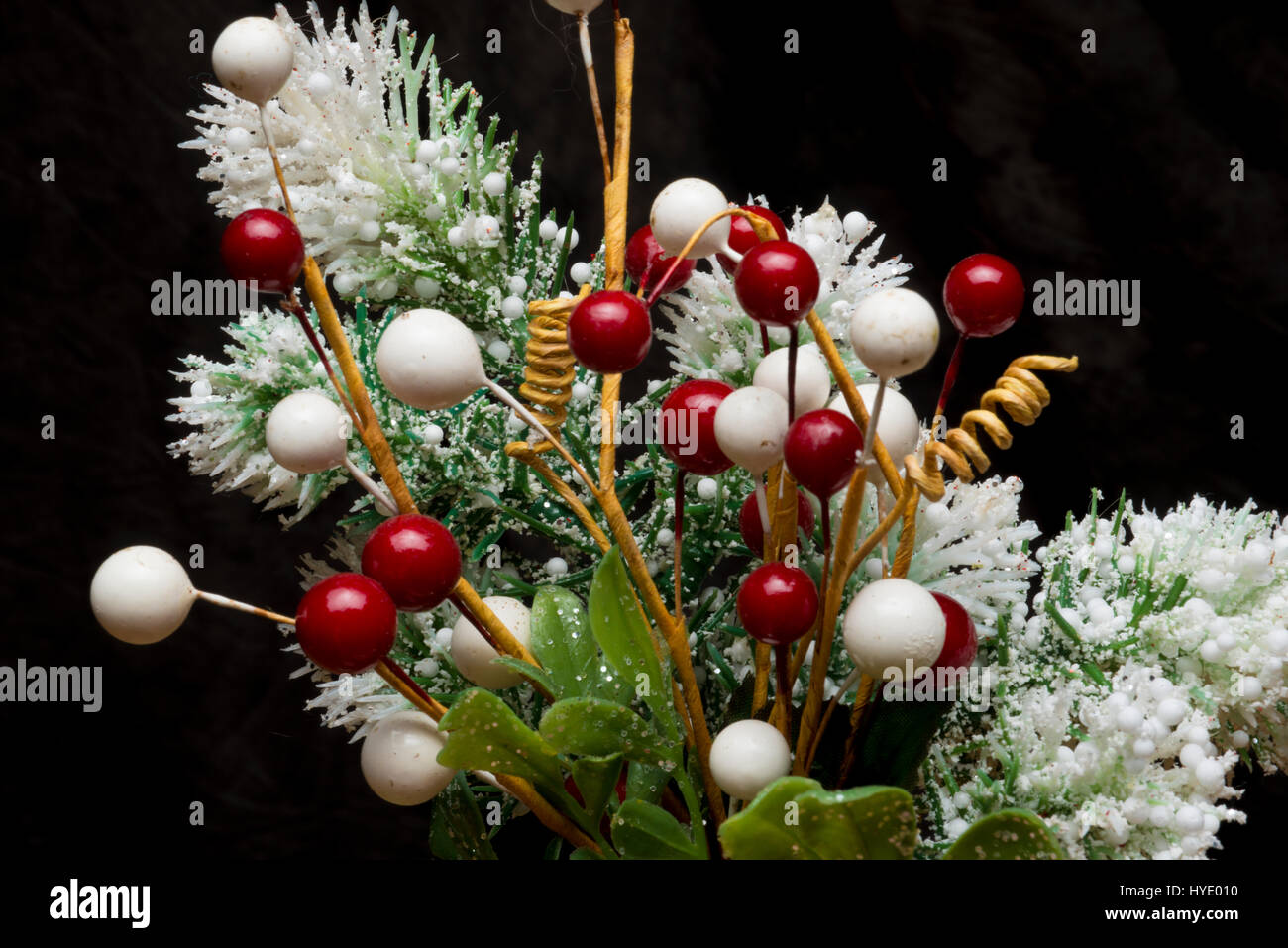 dekorative floral Tipps Winter Schnee s Stockfoto