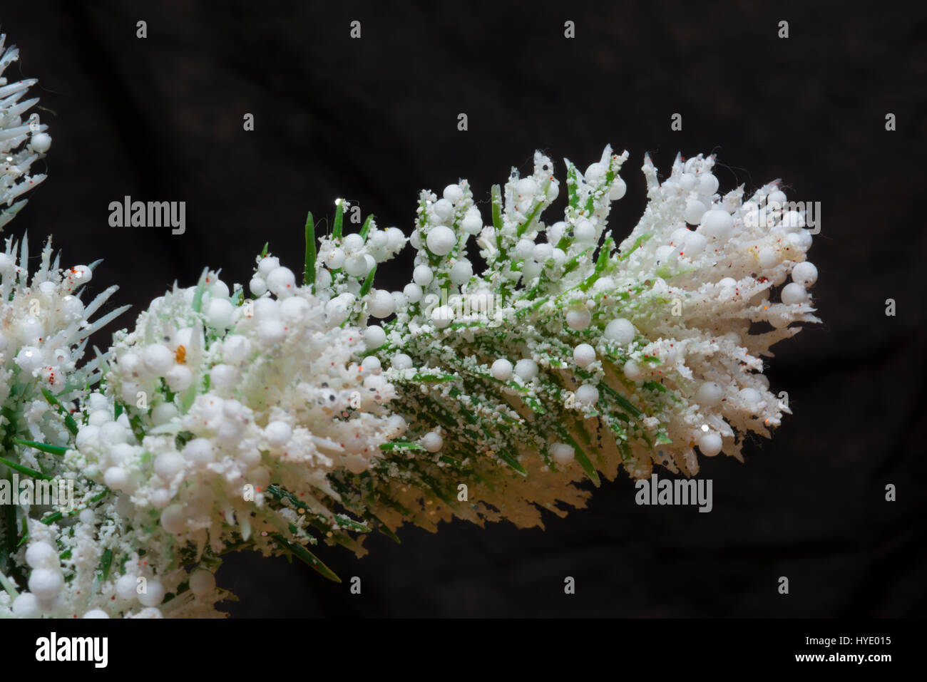 dekorative floral Tipps Winterschnee Stockfoto