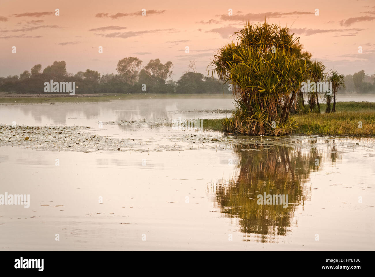 Stille Wasser spiegeln die Ufer und rosa Dämmerlicht. Gelbes Wasser Billabong, Northern Territories, Australien Stockfoto