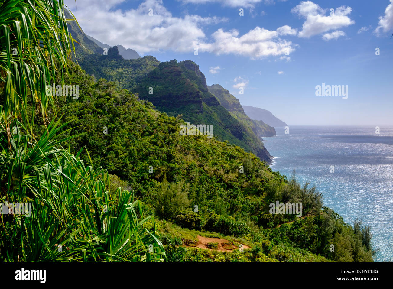 Landschaftsansicht Na Pali Küste und Wald auf Kalalau Trail, Kauai, Hawaii, USA Stockfoto