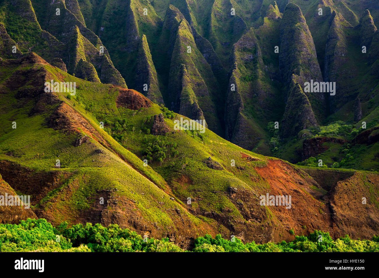Detailansicht der Landschaft der Na Pali schroffen Klippen, Kauai, Hawaii, USA Stockfoto