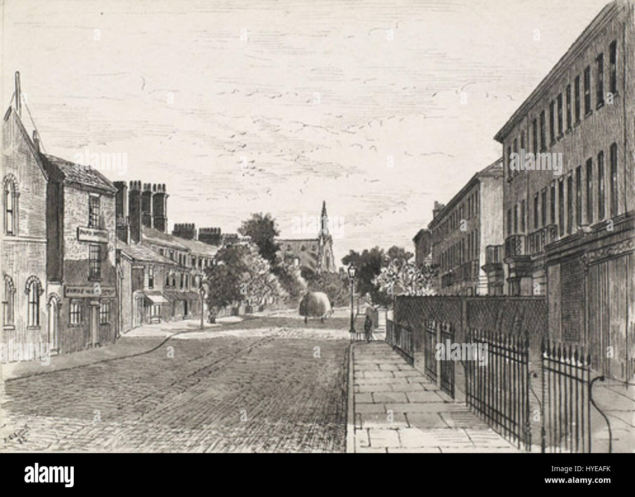 Dieses Gemälde aus dem Jahr 1883 zeigt die Beverley Road in Hull, England, mit bemerkenswerten Gebäuden wie dem Park Hotel. Die Perspektive bietet einen Einblick in das Leben der viktorianischen Stadt mit Gebäuden und Straßen, die detailreich dargestellt sind. Stockfoto