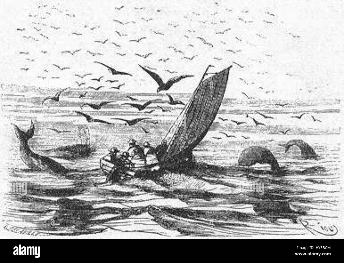 "Das Feld des Eises" von Riou und Montaut 104 Stockfoto