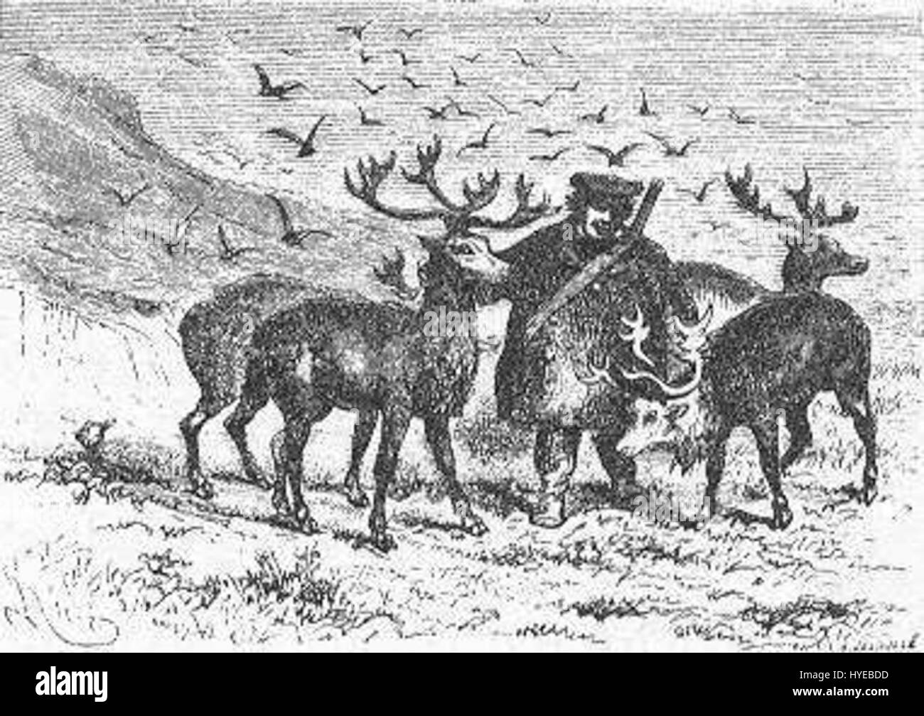 „The Field of Ice“, illustriert von Riou und Montaut, zeigt die gefährliche und dramatische Reise durch eine eisige Landschaft. Das Bild zeigt die rauen und gefährlichen Bedingungen, denen sich Entdecker in arktischen und antarktischen Regionen gegenübersehen. Stockfoto