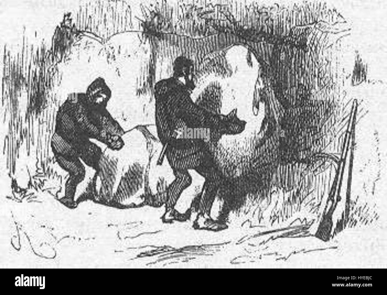 „The Field of Ice“ von Riou und Montaut fängt eine dramatische Szene aus Eis und Schnee ein, die wahrscheinlich die Härte des Winters und die Herausforderungen des Überlebens symbolisiert. Das Stück verbindet Realismus mit einem Hauch künstlerischer Symbolik, um die kalte, gnadenlose Umgebung zu wecken. Stockfoto