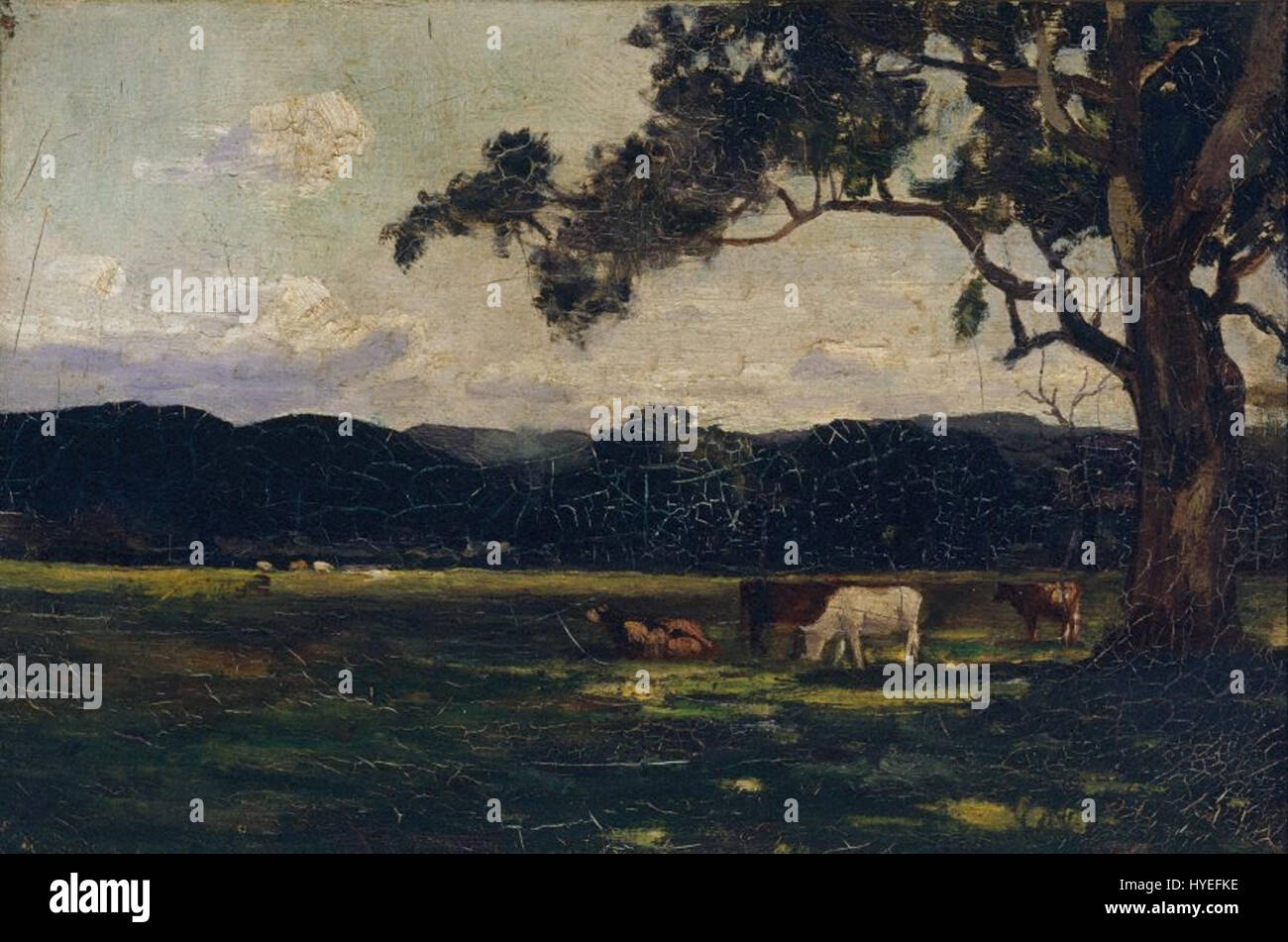 John Ford Paterson Weiden, Bacchus Marsh Stockfoto