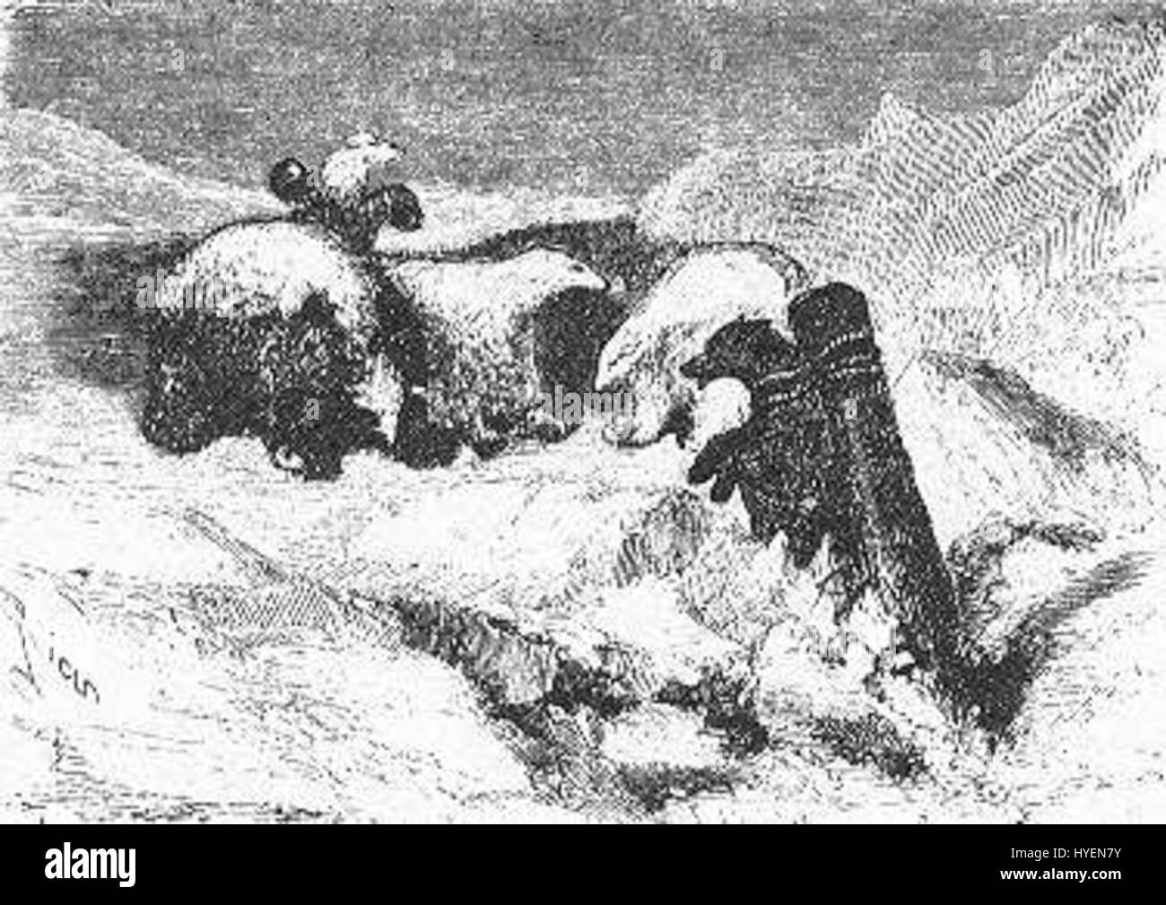 „The Field of Ice“ von Riou und Montaut stellt eine einsame, gefrorene Landschaft dar, wobei der Schwerpunkt auf dem eisigen Gelände und seiner kahlen Schönheit liegt. Das Gemälde fängt die Härte und Isolation der gefrorenen Welt ein. Stockfoto