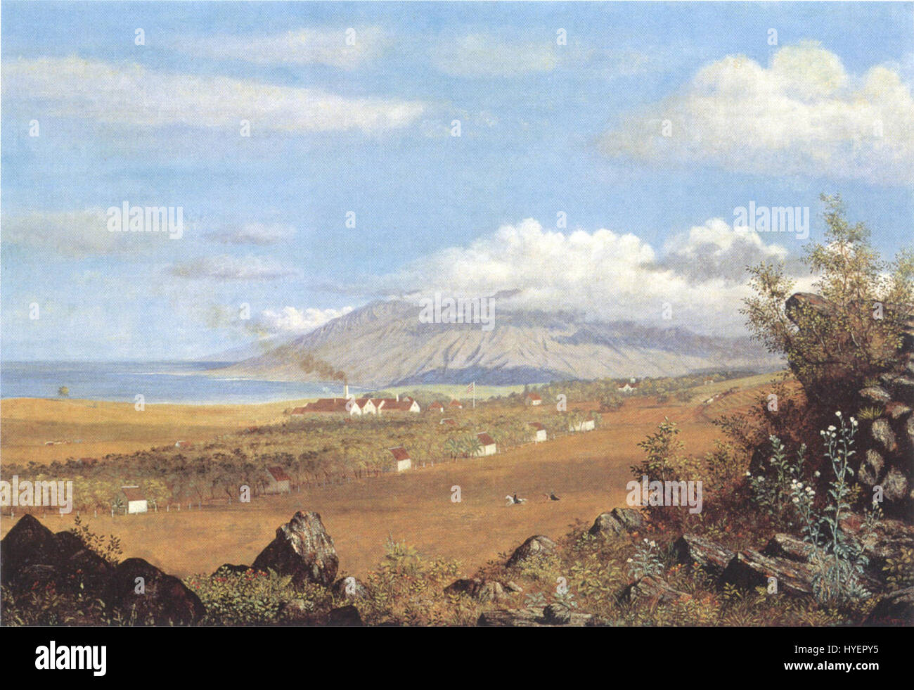 Enoch Holz Perry, Jr.   'Rose Ranch, Ulupalakua auf den Pisten des Haleakala, Maui', Öl 1865, Stockfoto