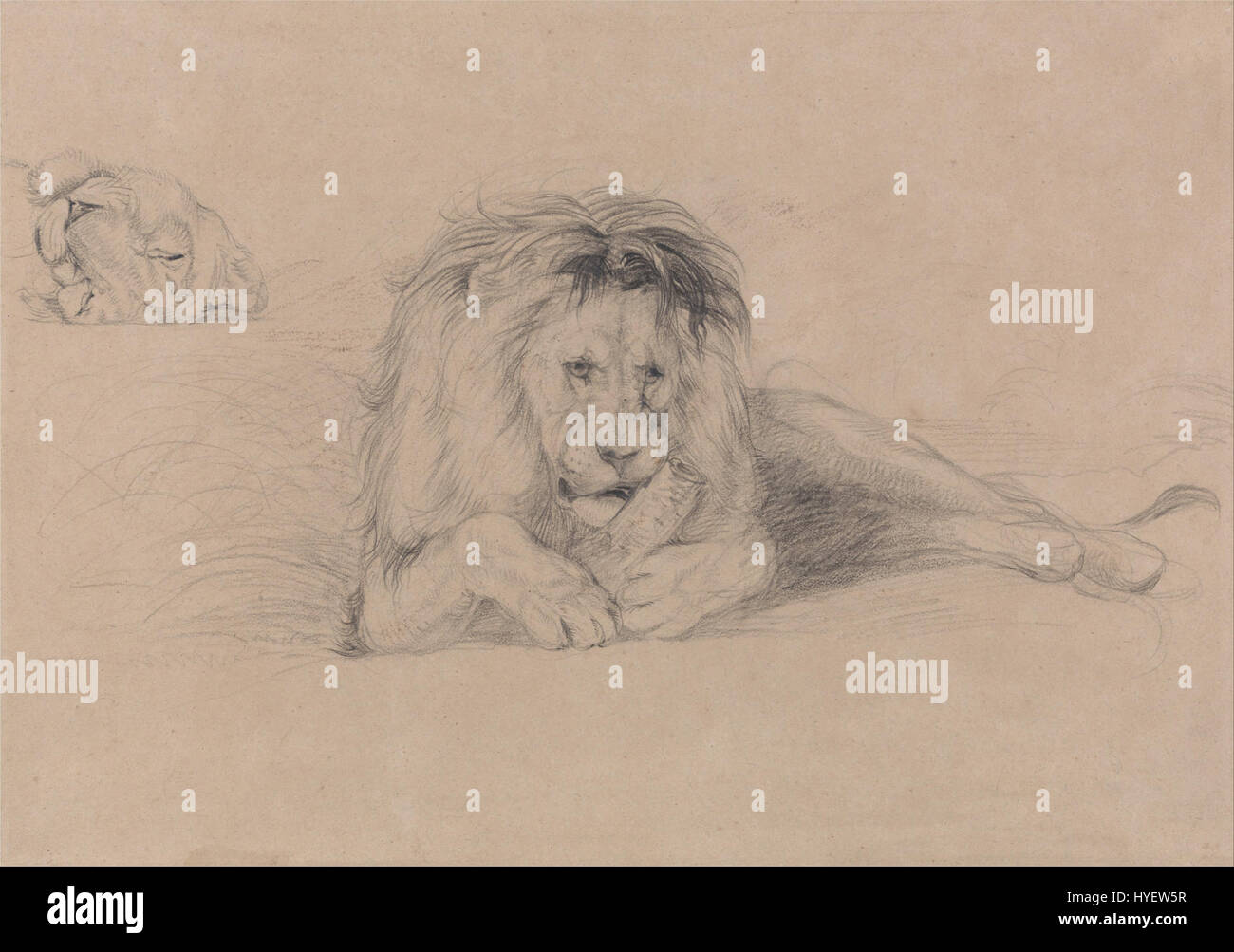 John Frederick Lewis’ Studien über einen Löwen und einen Löwenkopf spiegeln seine Beherrschung in detaillierten Tierstudien wider, wobei er sich auf die Anatomie und Ausdruckseigenschaften dieser Tiere konzentriert. Stockfoto