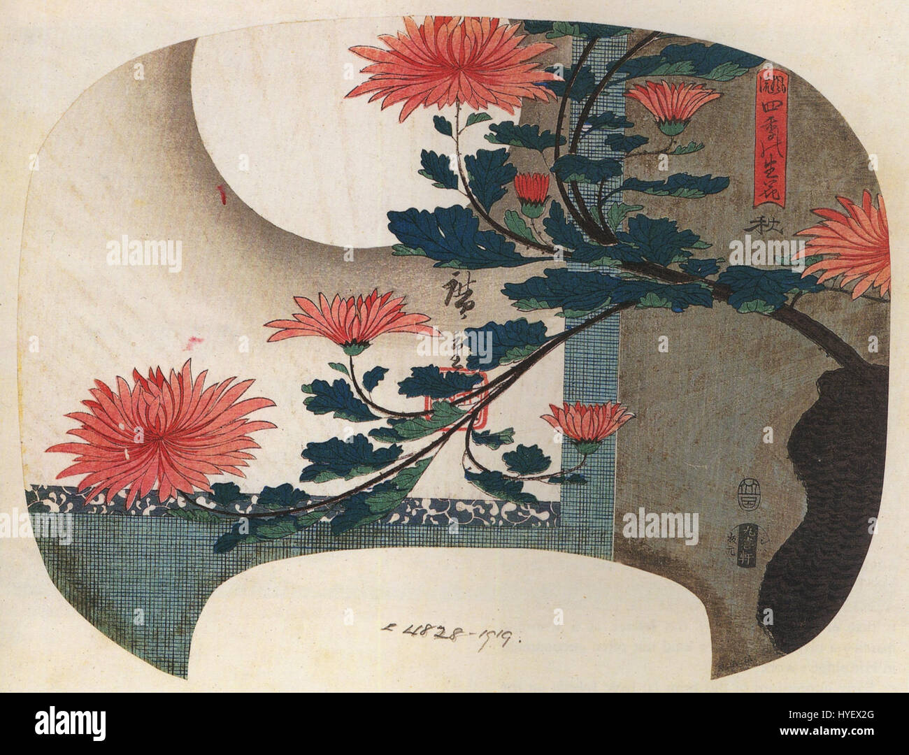 Chrysanthemen, ein Holzschnitt von Hiroshige Utagawa, einem japanischen Ukiyo-e-Künstler. Stockfoto