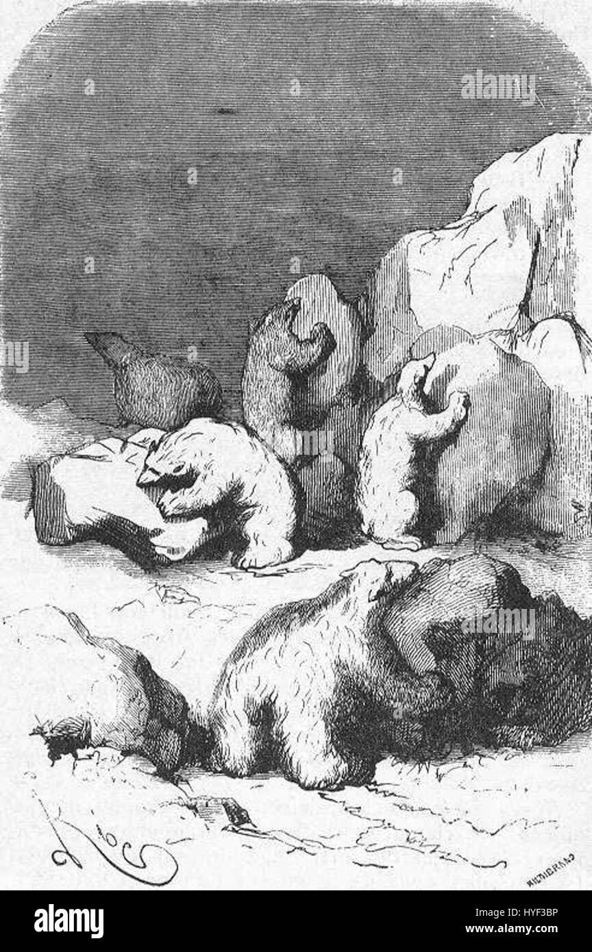 „The Field of Ice“ von Riou und Montaut ist eine Illustration, die eine dramatische, vereiste Landschaft darstellt. Das Kunstwerk betont die Härte der Umgebung und fängt die krasse Schönheit gefrorener Terrains ein. Stockfoto