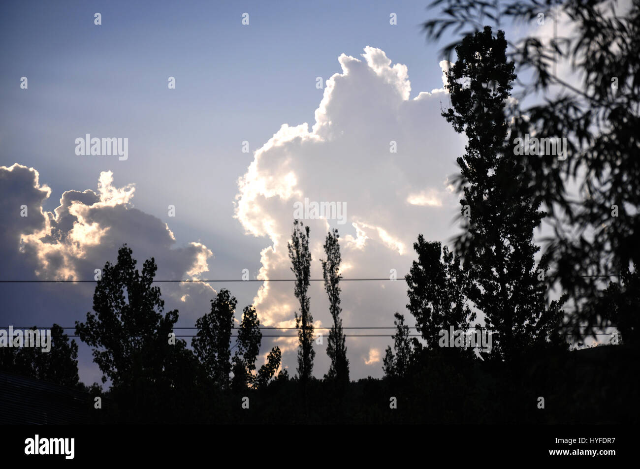 Kashmir Sky Clouds, Baum, (Photo Copyright © by Saji Maramon) Stockfoto