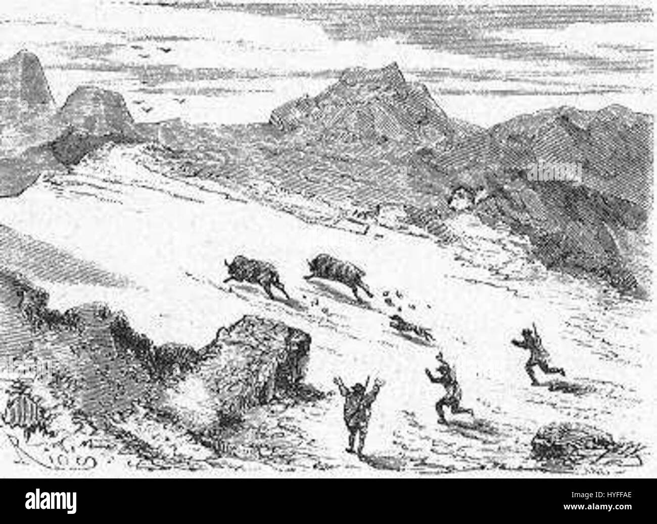 „The Field of Ice“, ein Druck von Riou und Montaut, fängt eine dramatische und schaurige Szene einer eisigen Landschaft ein. Die Aufmerksamkeit der Künstler auf die raue Umgebung spiegelt ihre Fähigkeit wider, die Extreme der Natur einzufangen. Stockfoto