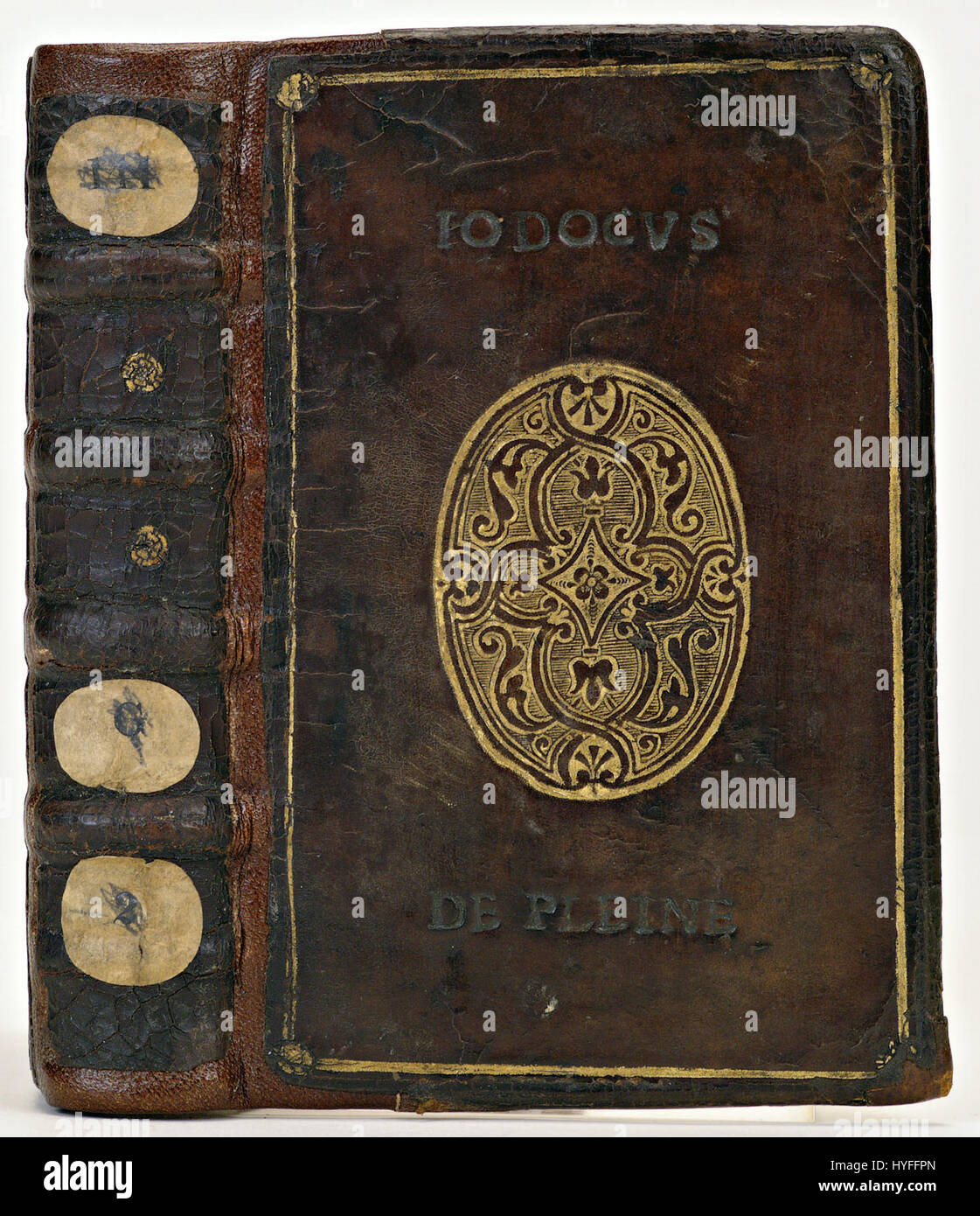 „Band van donkerbruin kalfsleer“ bedeutet „Band aus dunkelbraunem Kalbsleder“. Dieses hochwertige Lederstück, das für seine Langlebigkeit und seine satten Farben bekannt ist, wird häufig in Luxusgütern und Handwerksanwendungen verwendet. Stockfoto