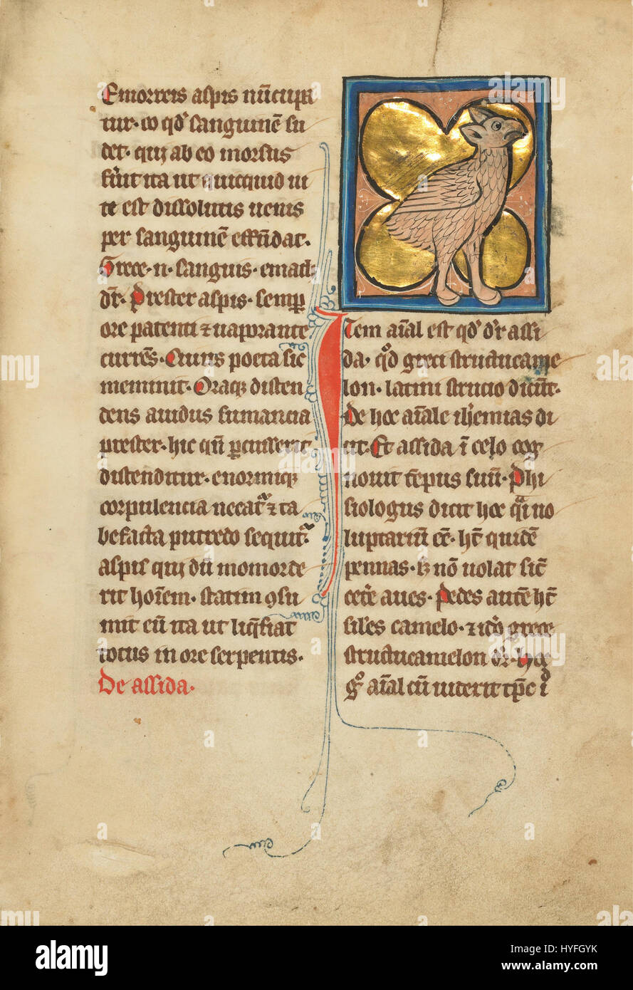 Dieses Kunstwerk eines Straußes fängt die Besonderheiten des Vogels ein, der für seine langen Beine und seinen großen Körper bekannt ist. Der Strauß ist in Afrika beheimatet und ist berühmt für seinen größten lebenden Vogel. Stockfoto