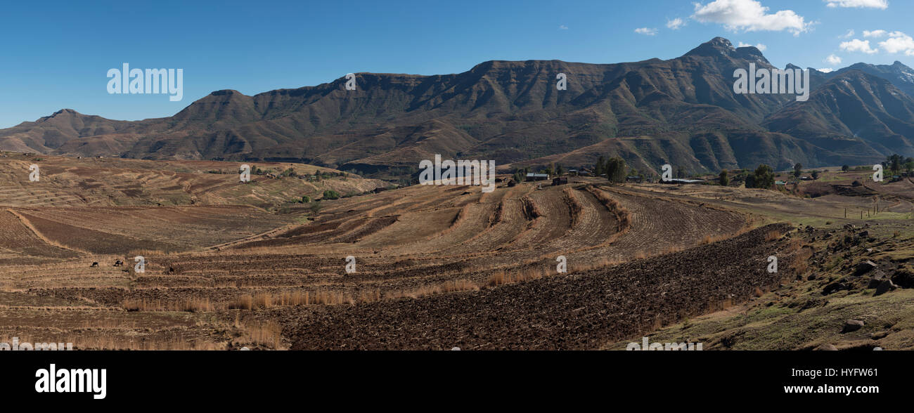 Landwirtschaft, entlang des Hololo Flusses vor dem Hintergrund der Karoo Basalte der Maluti Mountains im nördlichen Lesotho Stockfoto