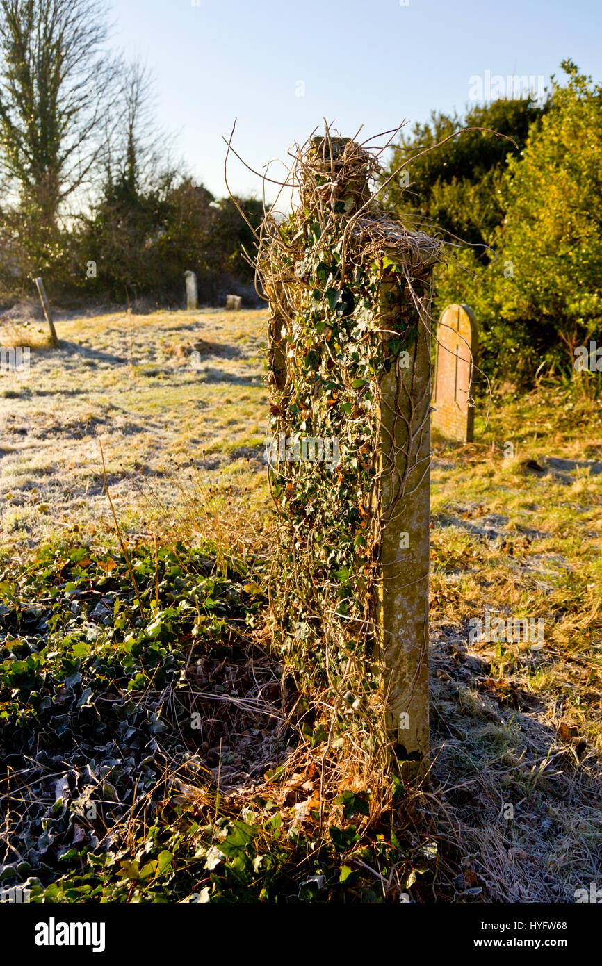 Ein Efeu bedeckt Grabstein auf dem Friedhof der Kirche von St. Johannes der Täufer, Southover, Lewes, England. Stockfoto