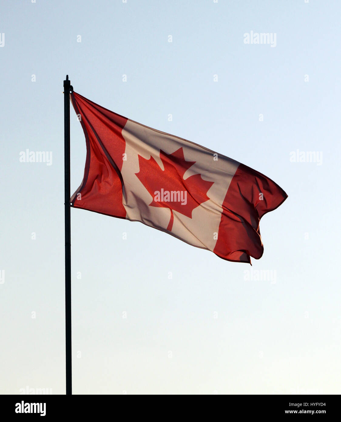 Kanadische Flagge flattern Stockfoto