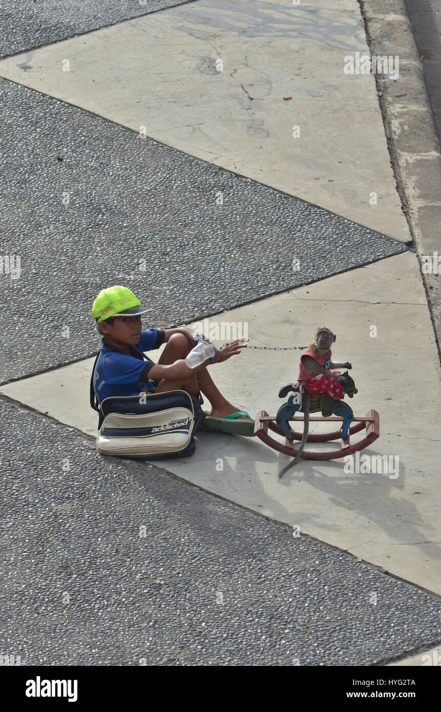 Das Kind von einem Affen-Eigentümer hat ihr Makaken Reiten ein Schaukelpferd für "Unterhaltung". GEZWUNGEN, Masken zu tragen, ziehen Schubkarren und sogar Mini-Motorrad fahren auf den Straßen dieser armen Makaken in der Welt am meisten ausgebeuteten sein könnte? Bilder zeigen wie die Makaken sind gezwungen, für die Übergabe von Pendlern in einem beschämend "informellen Zirkus", geführt von den Affen-Besitzer, die Steuern, der Affen mit Ketten und Passanten um Geld betteln durchführen. Lokalen Fotografen Fahmi Bhs (41) nahm die Bilder während des Gehens auf den Straßen von seiner Heimat Stadt Jakarta, Indonesien. Stockfoto