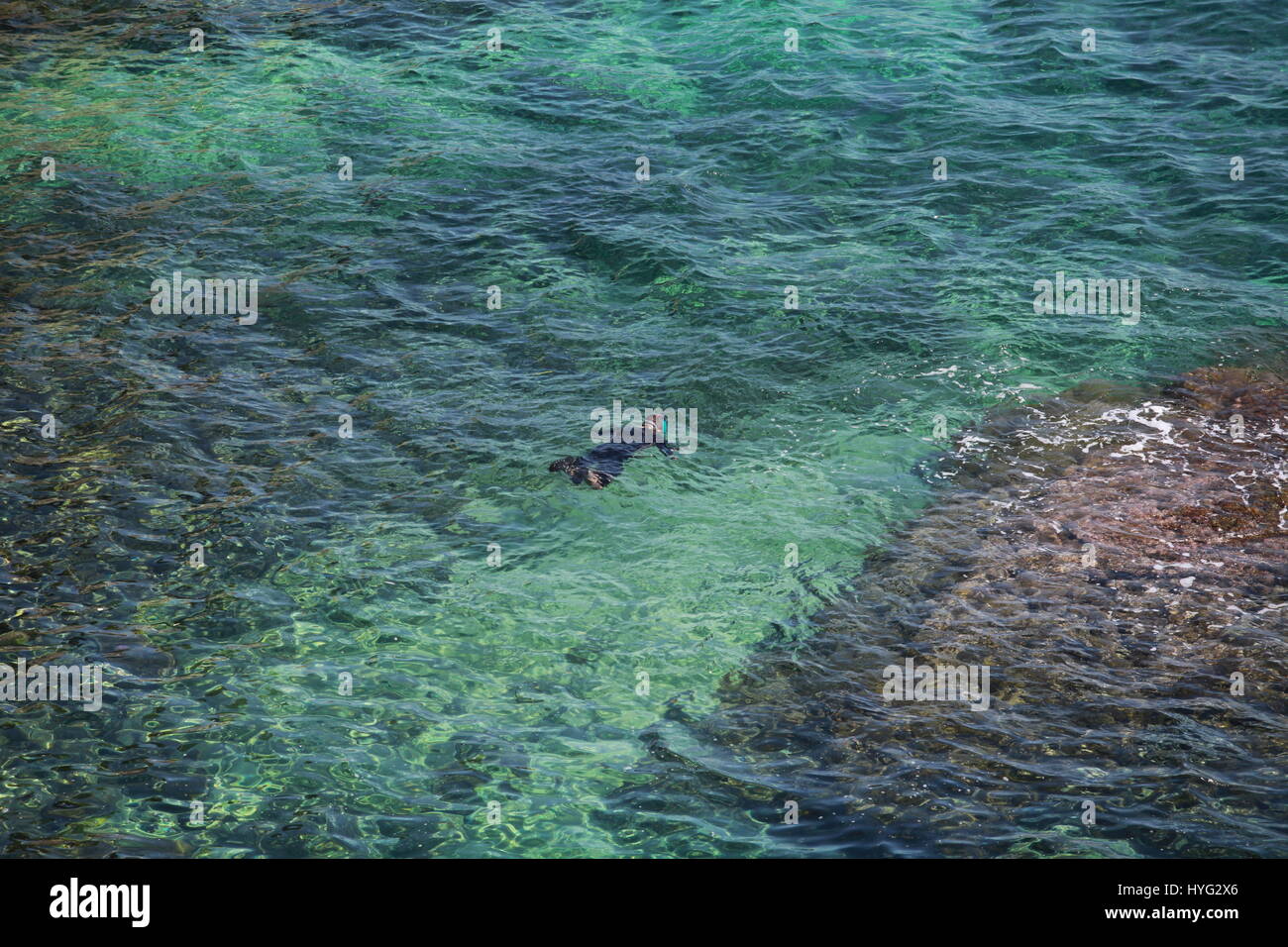 Schnorcheln-Schwimmer Tauchen-Anzug, offene Meer-Ansicht von oben Stockfoto