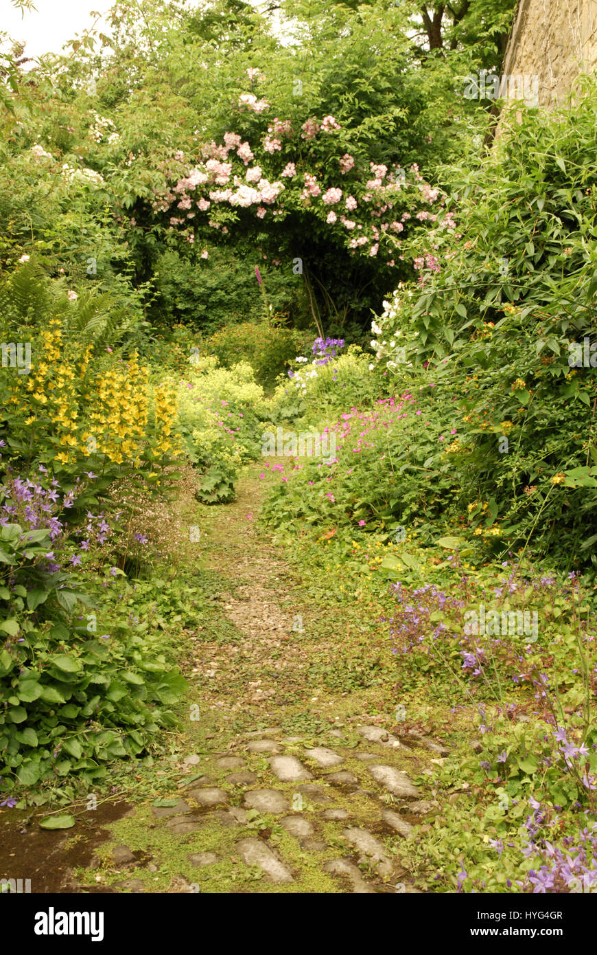 Cotswold Garten mit rosa Wandern im Juni stieg über einen Torbogen. Stockfoto