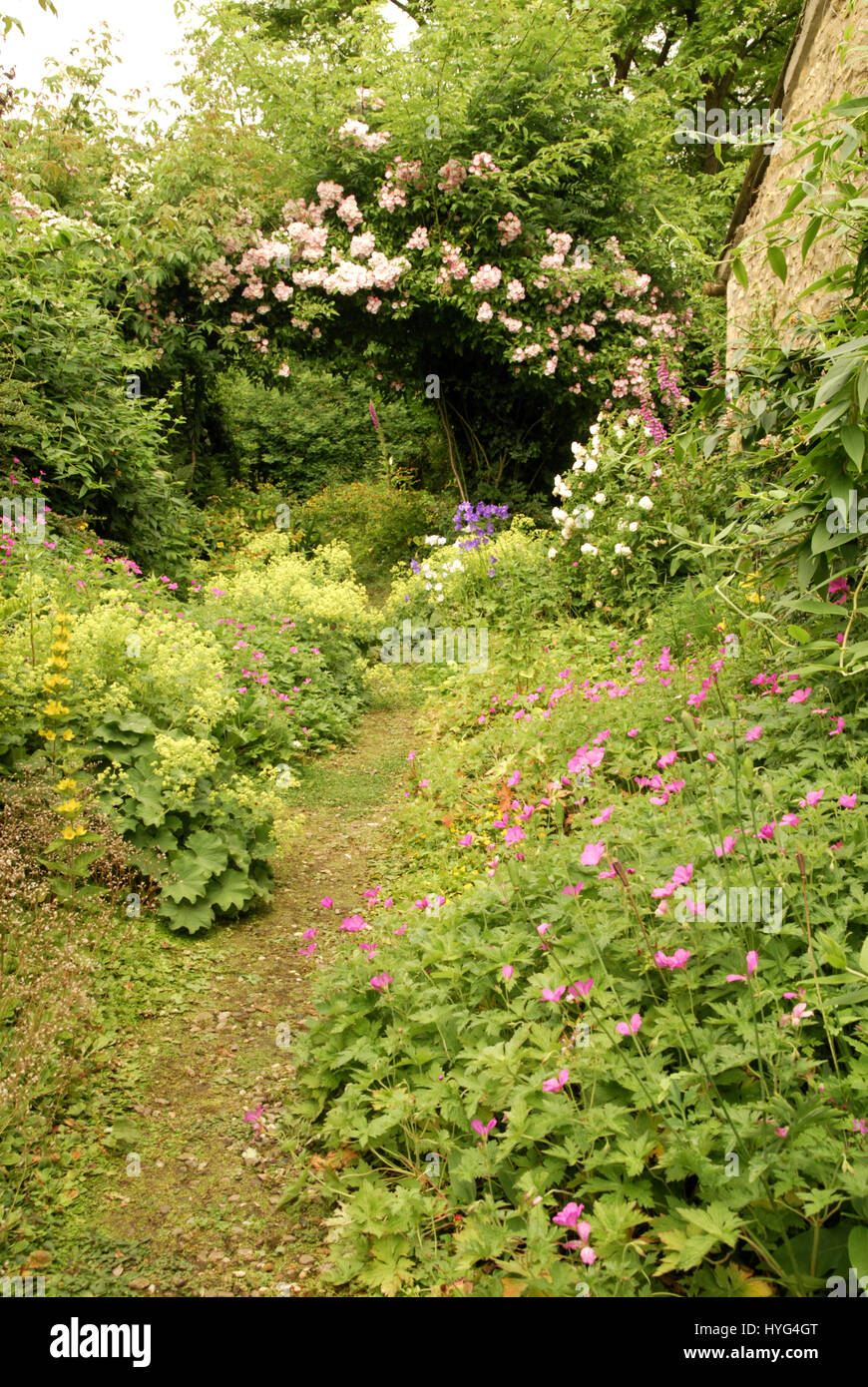 Cotswold Garten mit rosa Wandern im Juni stieg über einen Torbogen. Stockfoto