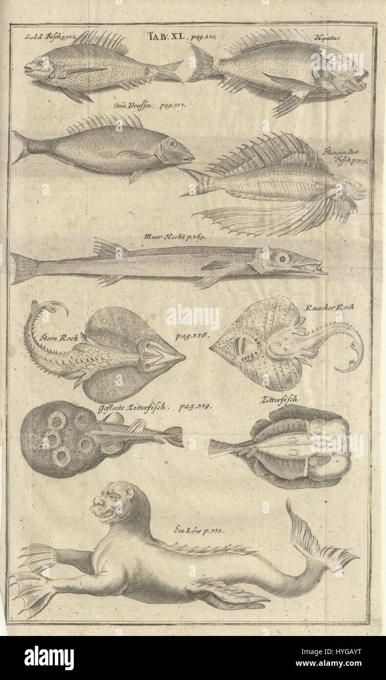 Der als „No nb digibok 2015020624003 V12“ gekennzeichnete Text bezieht sich wahrscheinlich auf ein digitales Dokument, das Teil eines größeren Archivs oder einer größeren Serie ist und möglicherweise mit historischen oder wissenschaftlichen Inhalten zusammenhängt. Die Referenz ist Teil einer Archivsammlung, in der Regel zu Forschungs- oder Bildungszwecken. Stockfoto