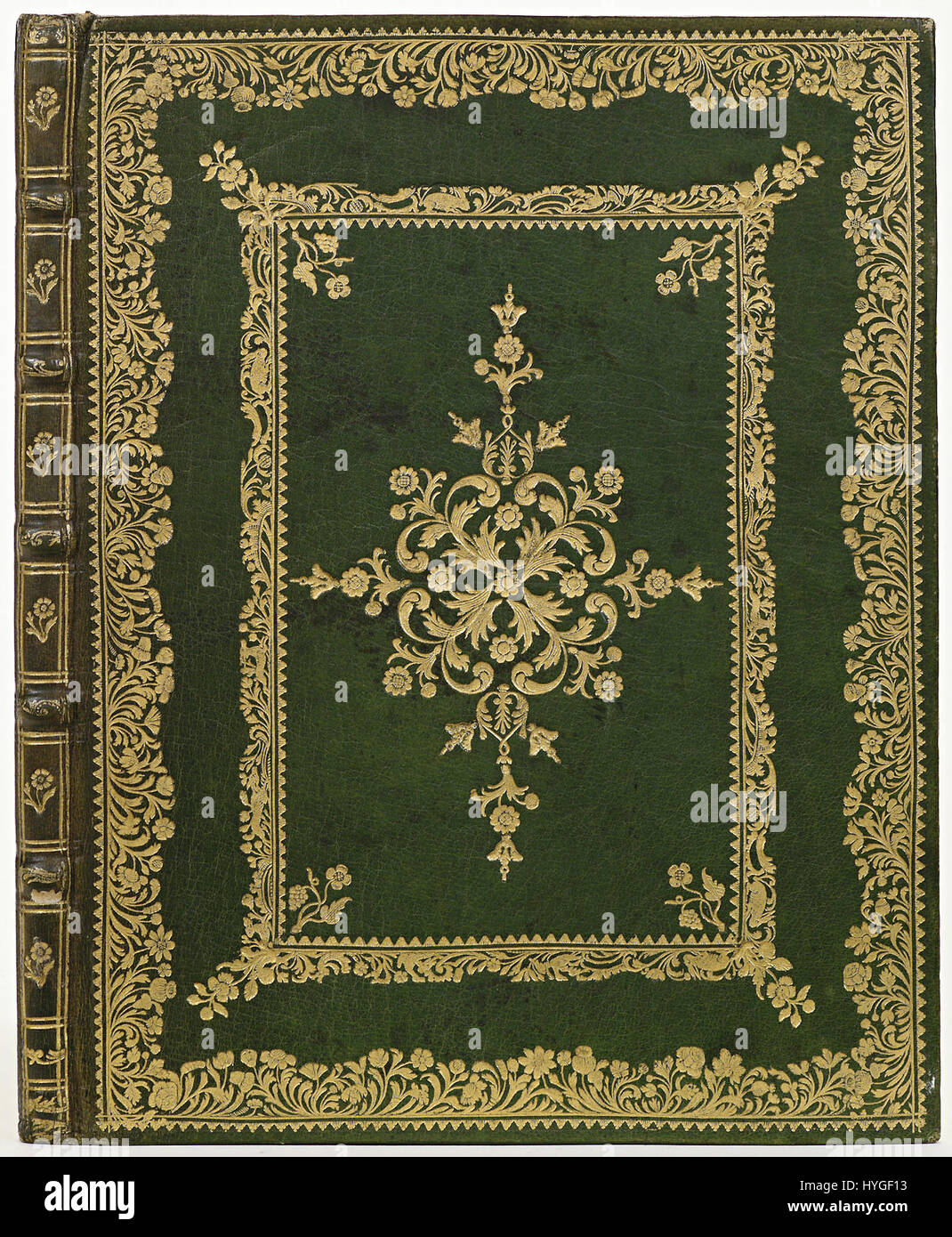 Ein Band aus dunkelolivgrünem marokkanischem Leder, bekannt für seine Strapazierfähigkeit und luxuriöse Textur. Dieses Stück steht für hochwertige Lederhandwerkskunst, die in edlen Waren und Accessoires verwendet wird. Stockfoto