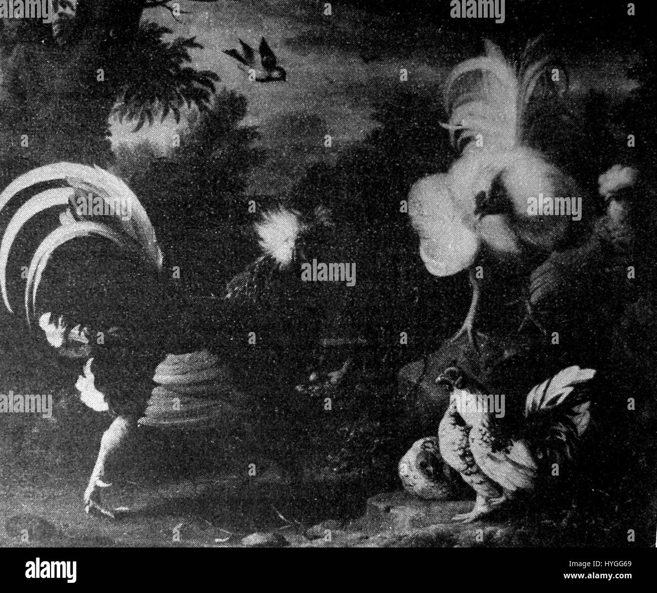 Presov, in der Slowakei gelegen, ist bekannt für seine historische Bedeutung und reiche Kultur. Die Stadt verfügt über mittelalterliche Architektur, einschließlich der Nikolaikirche, und ist ein Zentrum für Bildung und Kultur in der Region. Stockfoto