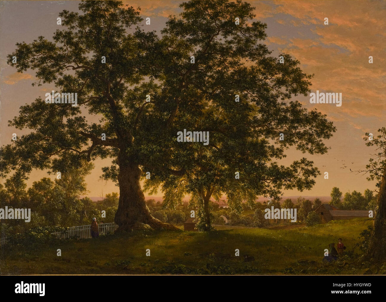 Die Charter Oak ist ein ikonischer amerikanischer Baum in Hartford, Connecticut, der Freiheit und Unabhängigkeit symbolisiert. Der Baum ist bekannt für die amerikanische Revolution und die Erhaltung der Charta von Connecticut. Stockfoto