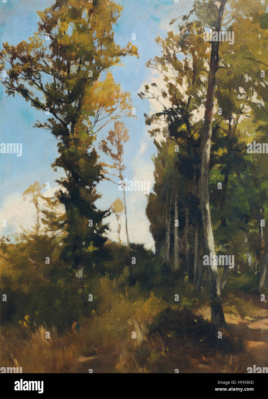 Carl Schuchs „Waldlichtung bei Purkersdorf“ fängt die ruhige Schönheit einer Waldszene ein. Das Landschaftsbild spiegelt Schuchs Aufmerksamkeit für Licht und Natur wider, typisch für seinen Stil des 19. Jahrhunderts. Stockfoto