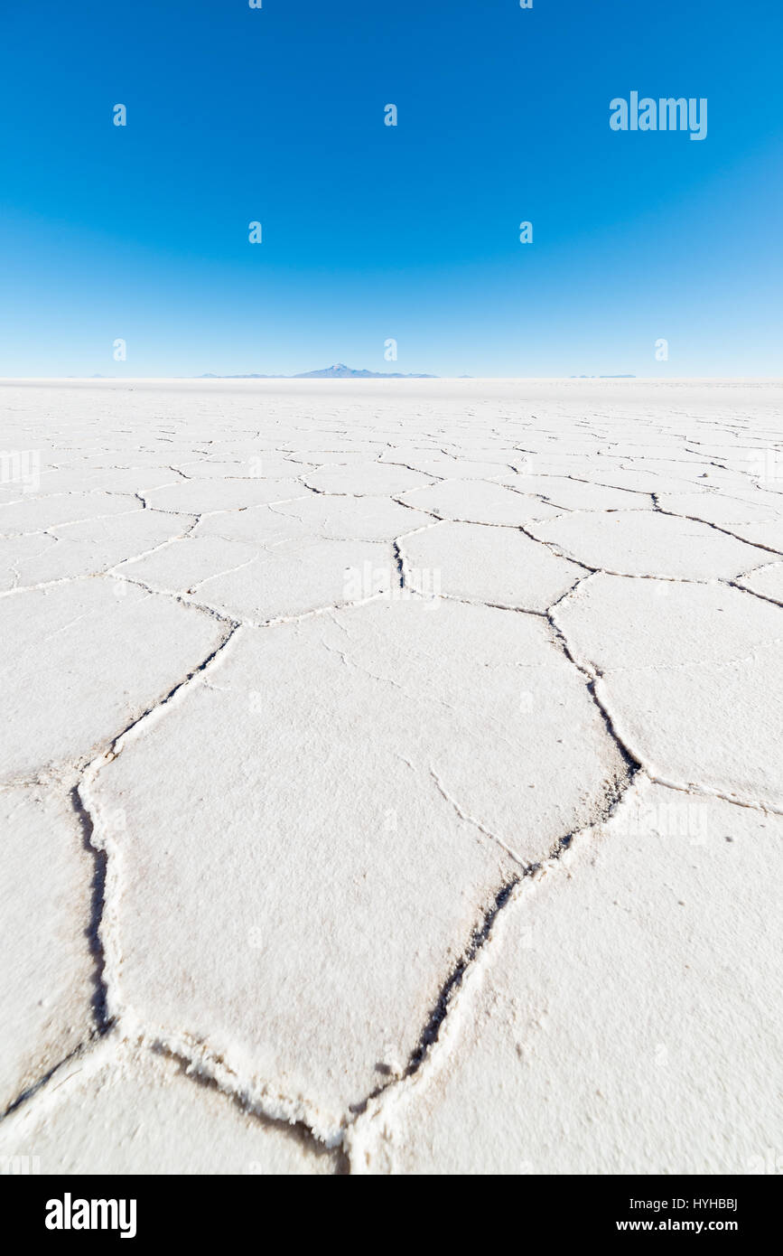 Weitwinkel-Blick auf die Welt berühmte Uyuni Salz flach, unter das wichtigste Reiseziel in den bolivianischen Anden. Nahaufnahme eines sechseckigen Formen o Stockfoto