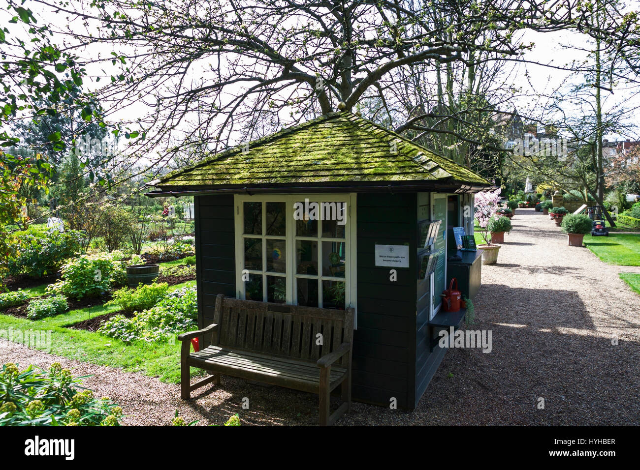 Chelsea Physic Garden, Londons älteste Botanischer Garten, London, UK. Stockfoto