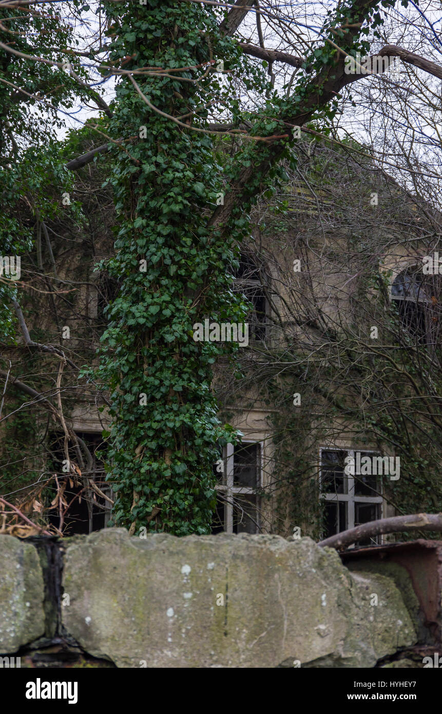 Verlassene und verfallene Stadtvilla, Demmin, Mecklenburg-Vorpommern, Deutschland. Stockfoto