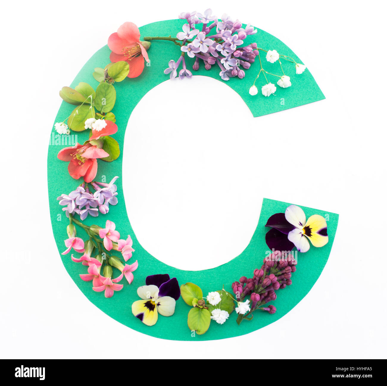 Buchstabe C gemacht von Frühlingsblumen und Papier auf weißem Hintergrund. Stockfoto