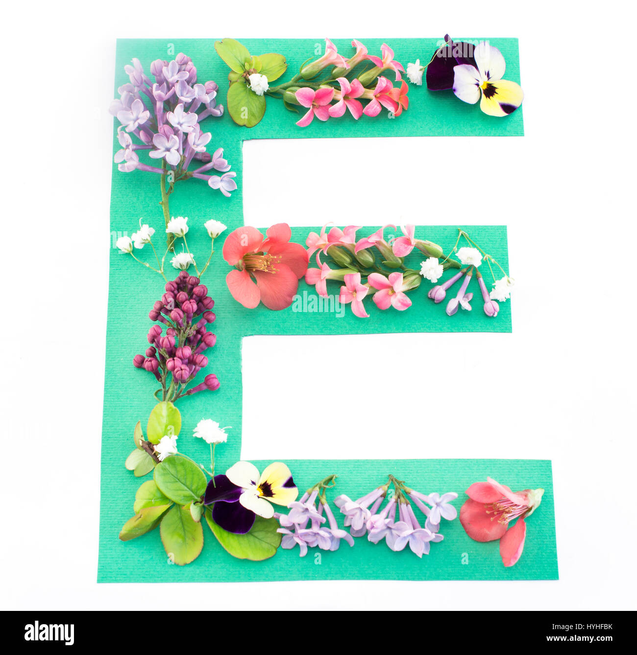 Buchstabe E gemacht von Frühlingsblumen und Papier auf weißem Hintergrund. Stockfoto