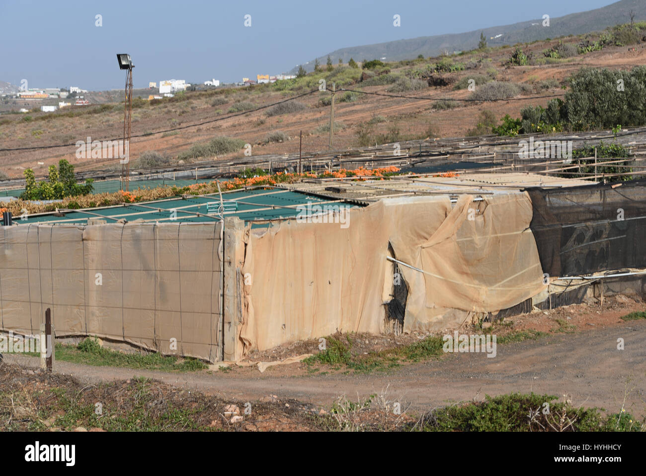 Überdachte Obstplantagen vor rauen Sonne und Hitze in spanischen Bergen Stockfoto