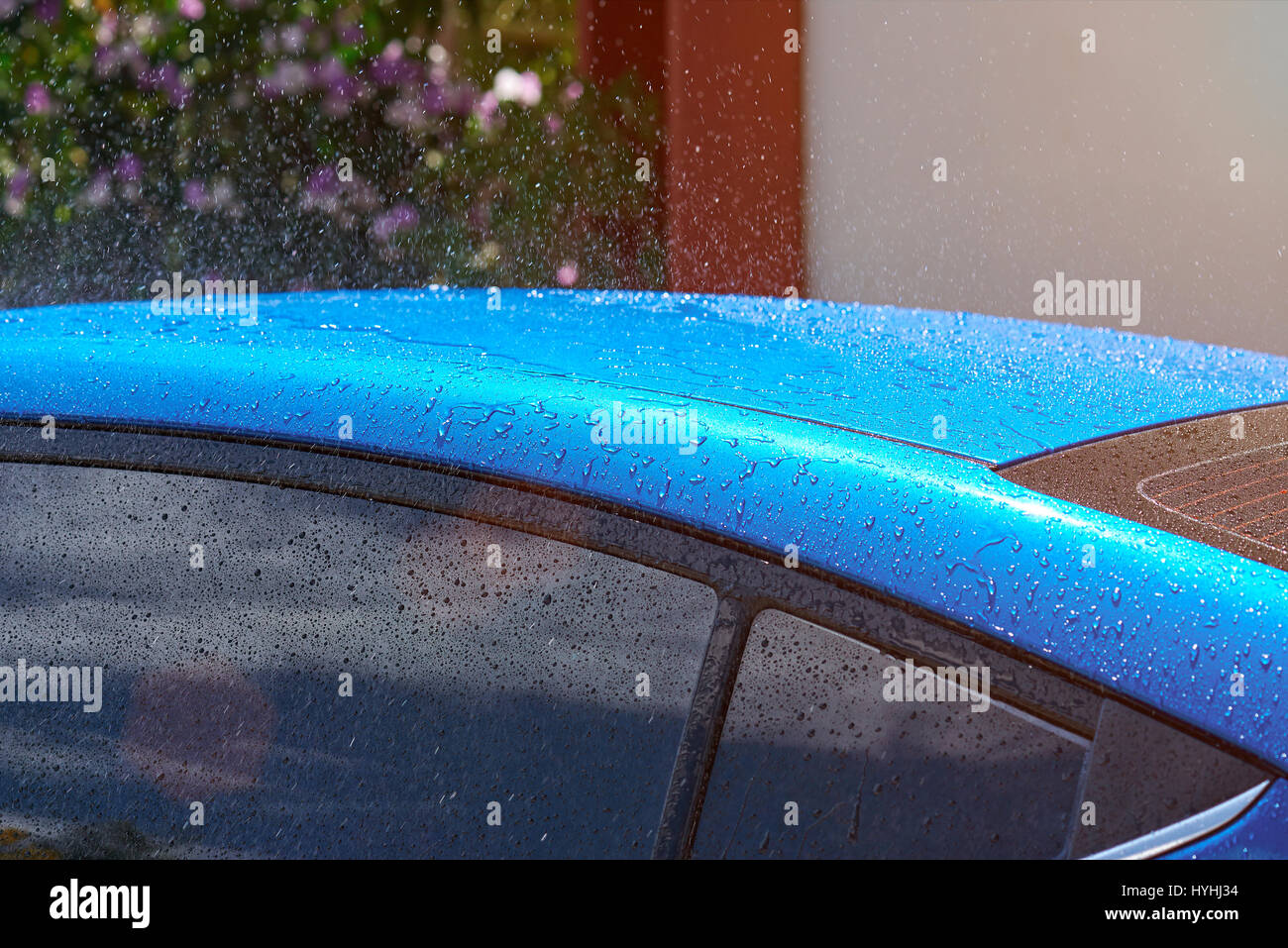 Blaues Autodach bei Regen im sonnigen Tag nass. Wassertropfen auf blaues Auto rood Stockfoto