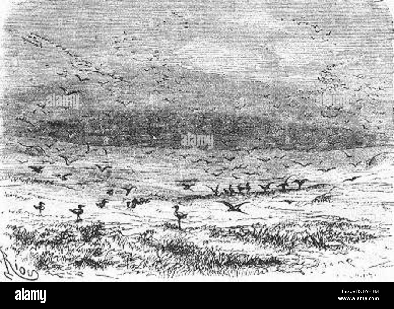 „The Field of Ice“ von Riou und Montaut zeigt eine intensive und dramatische Szene in einer gefrorenen Landschaft. Die Arbeit fängt die Härte des Winters ein, wobei Figuren der Kälte in einer kühnen, gefrorenen Umgebung trotzen und die menschliche Ausdauer betonen. Stockfoto