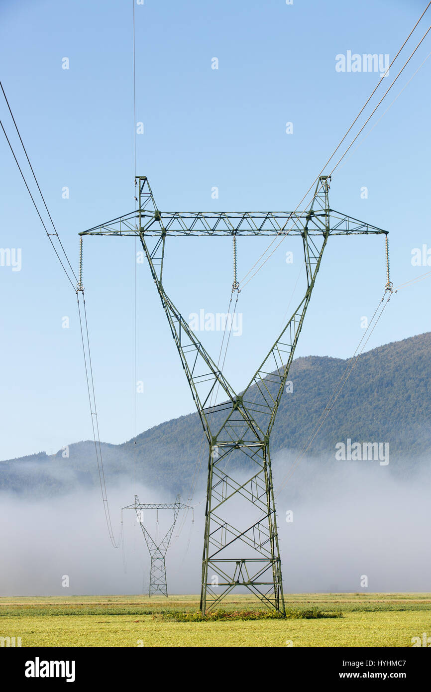 Große Strom Hochspannungsmasten mit Stromleitungen auf einem grünen Rasen in einem nebligen Morgen. Nachhaltige, grüne Energie, Energie und Kraft indust Stockfoto