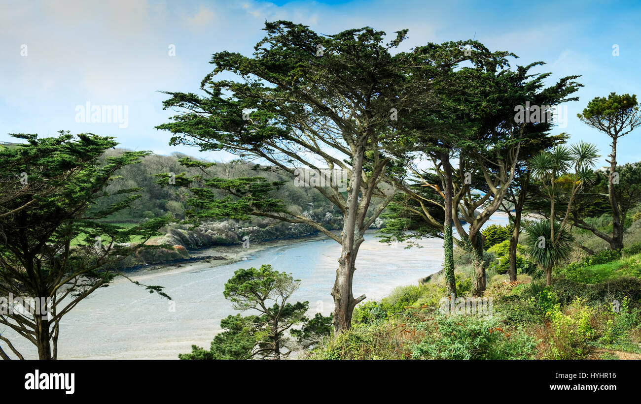 Einen Panoramablick über die Gannel Mündung in Newquay, Cornwall. Stockfoto