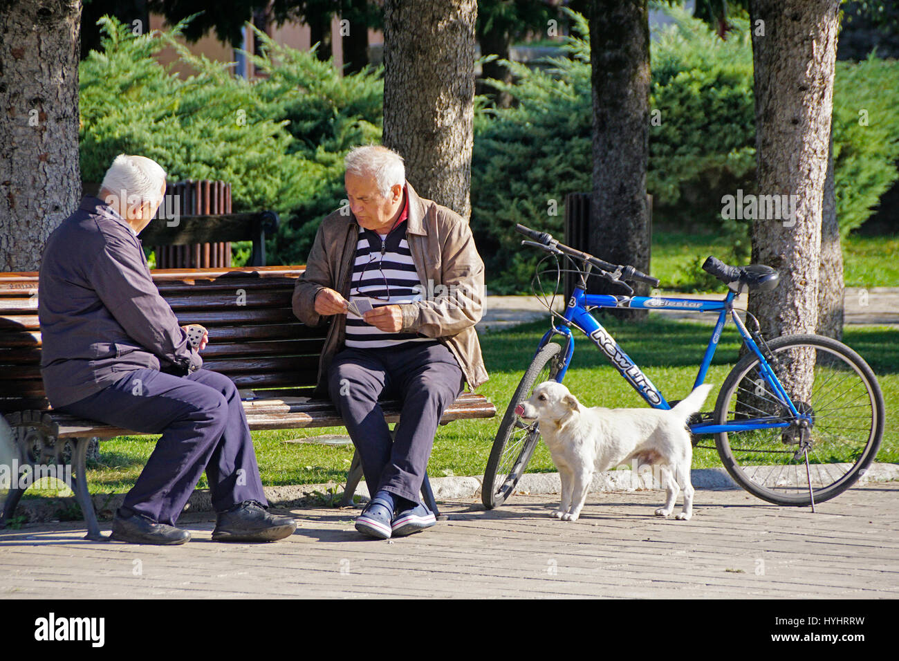 Ältere Männer Spielkarten im Park mit Hund in Cetinje, Montenegro beobachten. Stockfoto