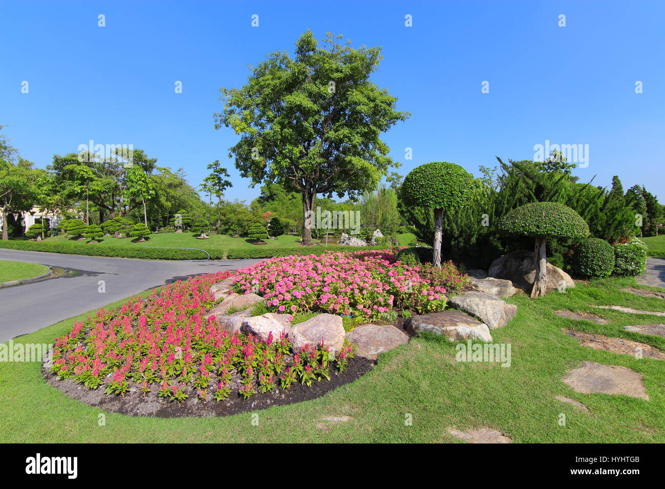 Schöne Zwerg Palme und Blumenbeet in Rama 9 öffentliche Park in Thailand Stockfoto