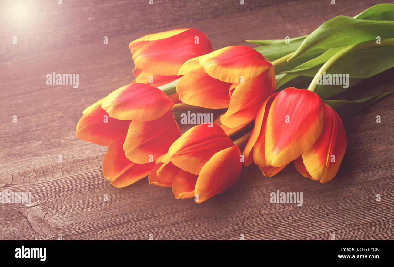 Schöne Tulpen auf hölzernen Hintergrund Stockfoto