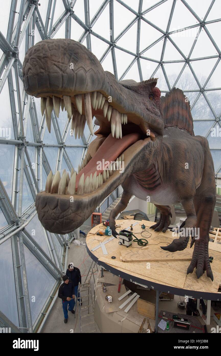 Kleinwelka, Deutschland. 4. April 2017. Das Modell der Spinosaurus in Lebensgröße das neue Besucherzentrum der Saurierpark in Kleinwelka, Deutschland, 4. April 2017 entnehmen. Die 22 Meter hohen Kuppelgebäude stellt das Tor zur Urzeit und ist Bestandteil der geplanten Thema "Ursuppe". Die neue Staffel von der Dinosaurier-Park startet am 8. April 2017. Foto: Sebastian Kahnert/Dpa-Zentralbild/Dpa/Alamy Live News Stockfoto