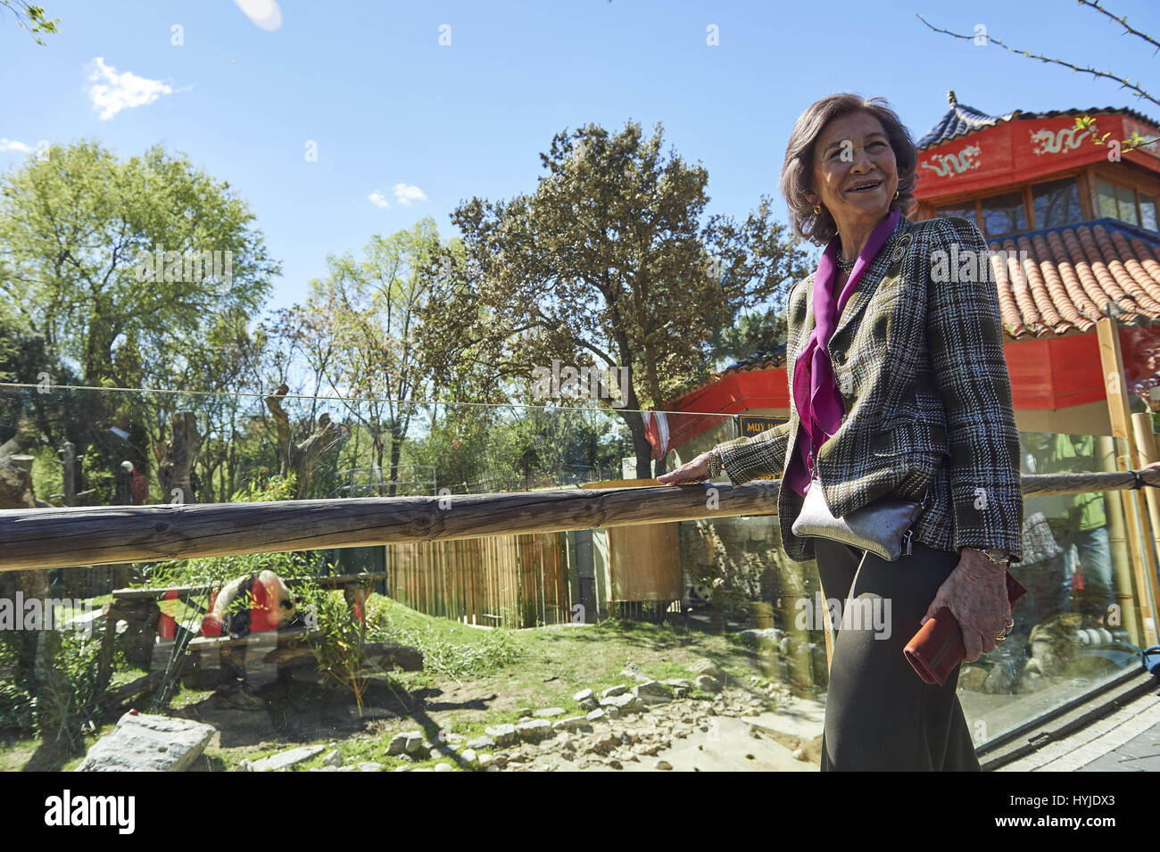 Madrid, Madrid, Spanien. 5. April 2017. Königin Sofia von Spanien besucht Panda Chulina im Zoo von Madrid am 5. April 2017 in Madrid Credit: Jack Abuin/ZUMA Draht/Alamy Live News Stockfoto